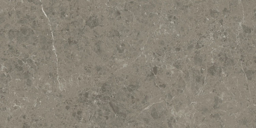 Керамогранит Marvel Meraviglia Grigio Elegante Lapp. AJHW (60x120) AJHW