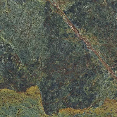 Керамогранит Vivid Green Rainforest Pulido 59,55x59.55