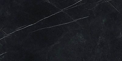 Керамогранит Forte Dei Marmi Elegant B. Rett Cer (60x120) 610015000659