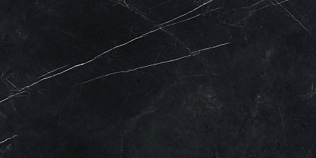 Керамогранит Forte Dei Marmi Elegant B. Rett Cer (60x120) 610015000659