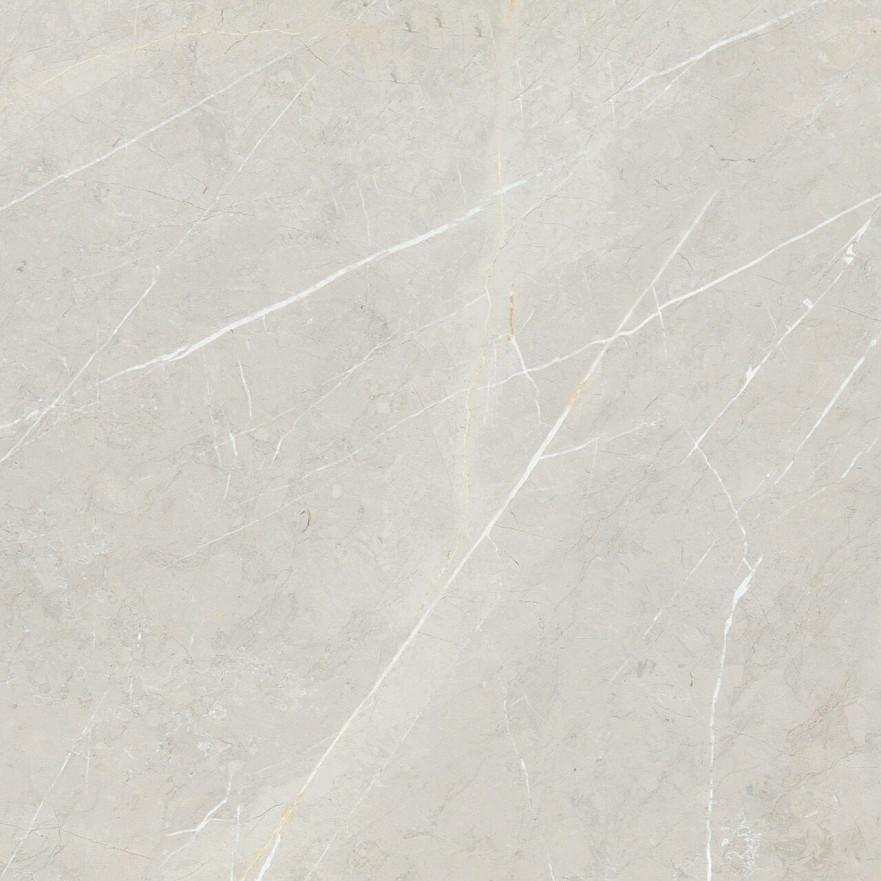 Керамогранит 2550 BB6NTT9101P (60x60) BB6NTT9101P