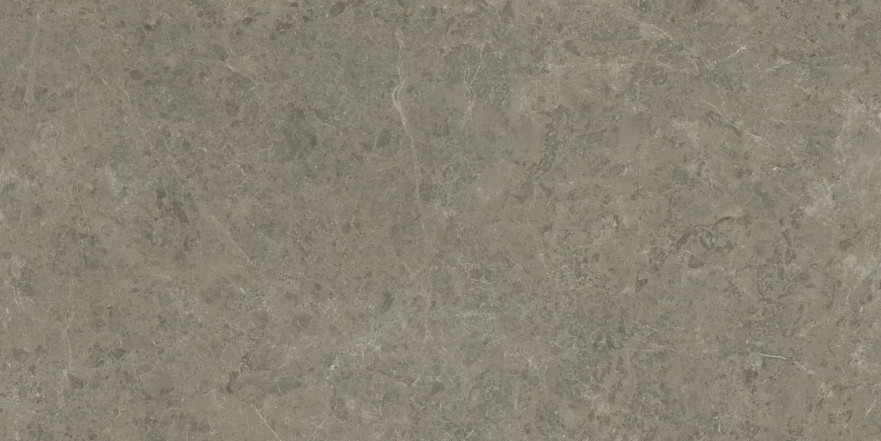 Керамогранит Marvel Meraviglia Grigio Elegante Lapp. AJIA (120x240) AJIA