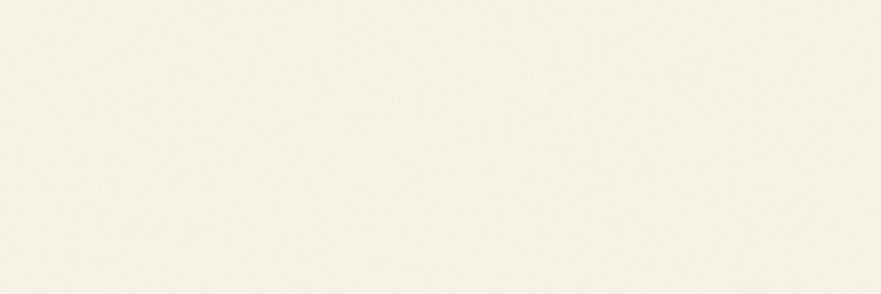 Керамогранит Coverlam Basic Blanco Natural (100х300) 3.5mm 78BA-41 (50-20)