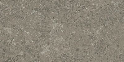 Керамогранит Marvel Meraviglia Grigio Elegante Velvet AI8R (60x120)