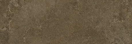 Керамическая плитка Neo Oxido (30х90)