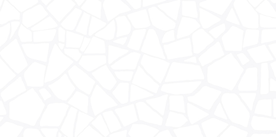 Плитка настенная Smalta White (24.9x50) WT9SML00 WT9SML00