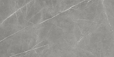 Керамогранит Forte Dei Marmi Elegant G. Rett Cer (60x120) 610015000657