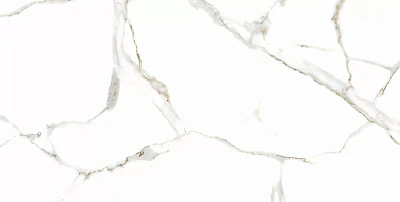 Satvario Gold Сатварио Голд (60x120) RP-116171
