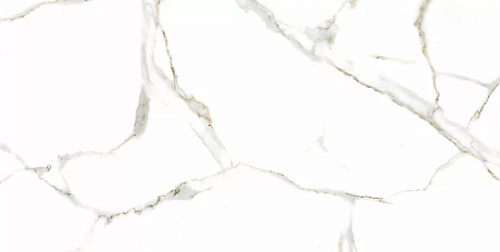 Satvario Gold Сатварио Голд (60x120) RP-116171