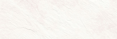 Плитка настенная Evan White (24.6x74) WT15EVA00R