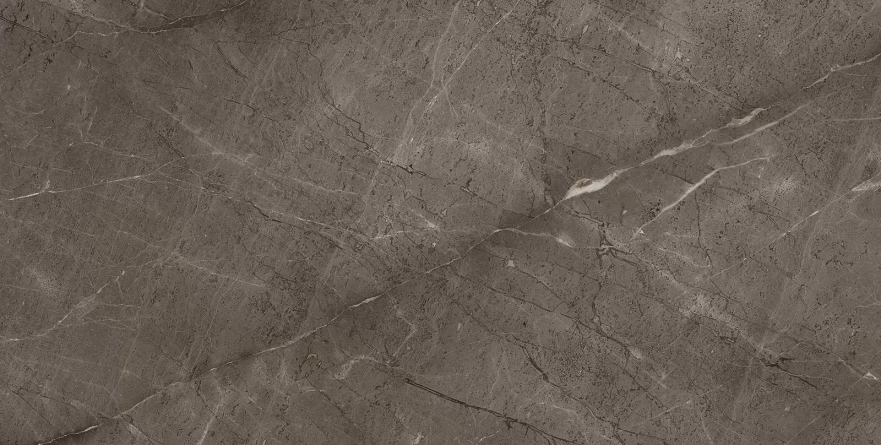 Gris Mramor Versace Gold (60x120) RP-91894 RP-91894