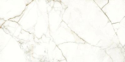 Керамогранит Rhapsody Emotion levigato rettificato 117782 (60x120)