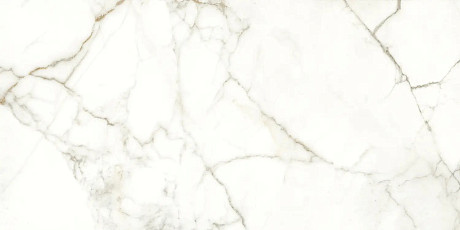 Керамогранит Rhapsody Emotion levigato rettificato 117782 (60x120)