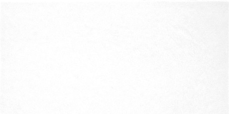 Плитка настенная Monocolor (24.9x50) TWU09MNR020