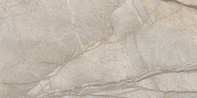 Керамогранит Stellaris Elegant Silver (60x120) 610010002835