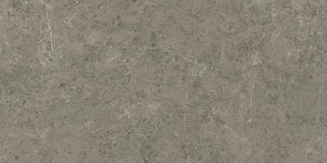 Керамогранит Marvel Meraviglia Grigio Elegante Lapp. AJIA (120x240)