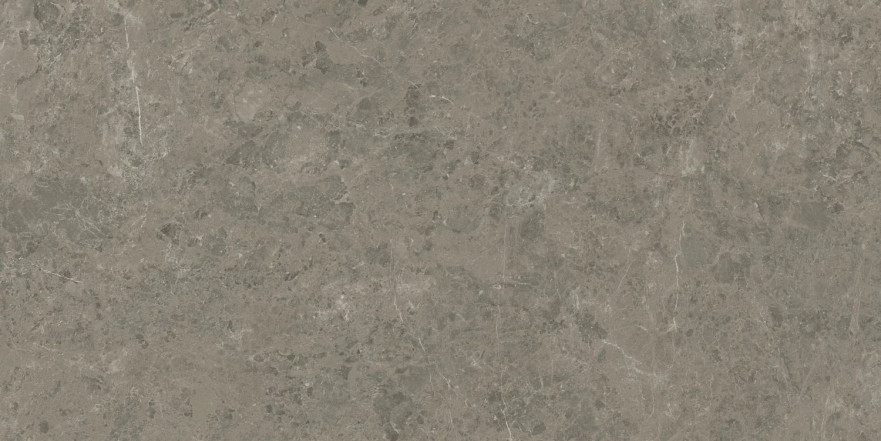 Керамогранит Marvel Meraviglia Grigio Elegante Lapp. AJIA (120x240) AJIA