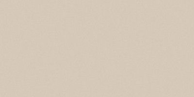 Керамогранит RW01непол. рект. (60x120)