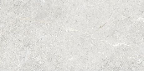 Керамогранит Silver Glossy 111.11P.1111 (60x120)