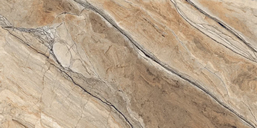 Longines Pine Glossy 120x60 RP-185659