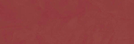 Керамическая плитка Splash Red (20x60) 677.0018.0241