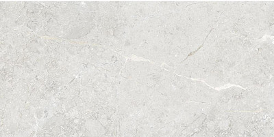 Керамогранит Silver Rustic Carving 111.11T.1151 (60x120)