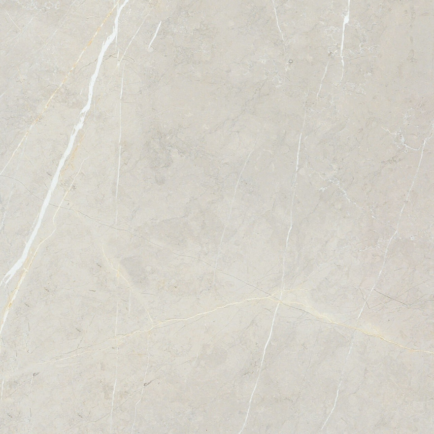 Керамогранит 2550 BB6NTT9101P (60x60) BB6NTT9101P