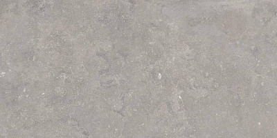 Керамогранит 0012928 Bruges Grey Nat R (60x120)