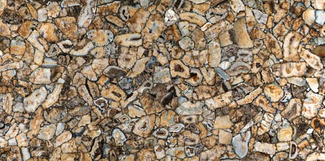 Керамогранит Ultra Agata AGATA ATENA Luc. Shiny (300x150) 6 mm UA6L300610