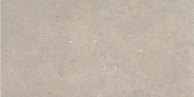 Greige Lapp (60x120) 594