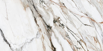 Керамогранит Calacatta Paonazzo Polished Rect (60x120)