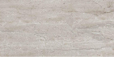 Керамогранит Dianox Grey 131.113.1111 (60x120)