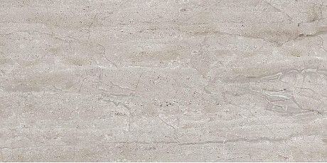 Керамогранит Dianox Grey 131.113.1111 (60x120)