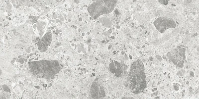 Amsterdam Grey Polished Rect. (60x120)