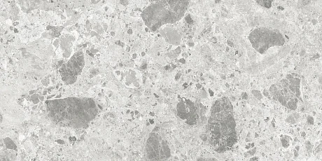 Amsterdam Grey Polished Rect. (60x120)