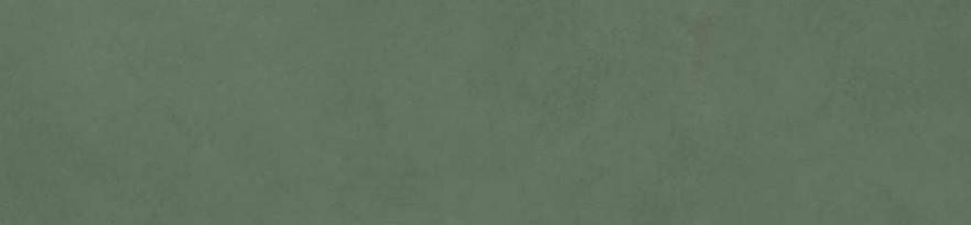 Керамогранит Scs Spectra Herbs Glossy (5.8х25) MPL-062306 MPL-062306