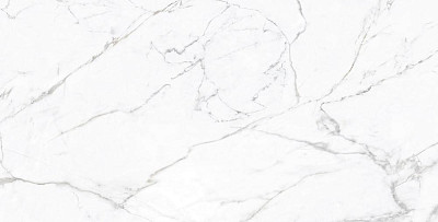 Керамогранит STATUARIO FINE CARVING R (60x120) ROL83941