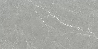 Керамогранит 3975 PT612NTT1102L (600x1200)