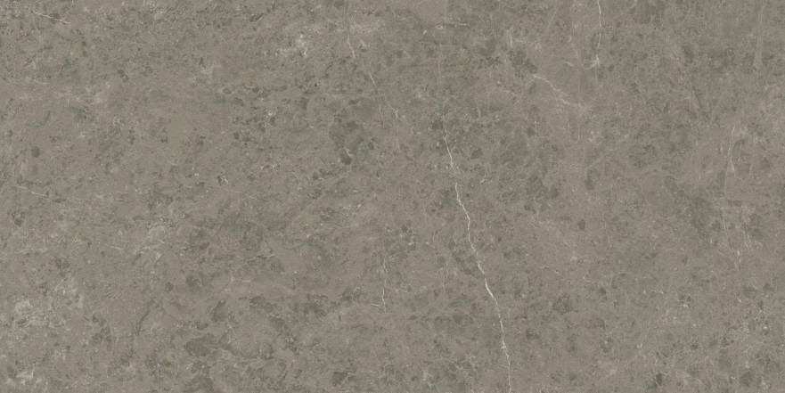 Керамогранит Marvel Meraviglia Grigio Elegante Lapp. AJIA (120x240) AJIA