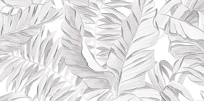 Декор Bonita (24.9x50) DWU09BNT007