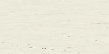 Керамогранит Marvel Bianco Dolomite Lapp. (120x240) AZTV