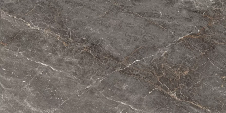 Istanbul Argenta Glossy 120x60 RP-160238