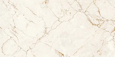 Керамогранит 1086 glossy (60х120) MPL-058742