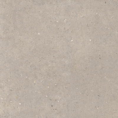 Greige (60x60) 580