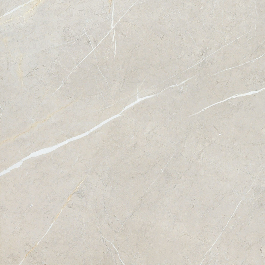 Керамогранит 2550 BB6NTT9101P (60x60) BB6NTT9101P