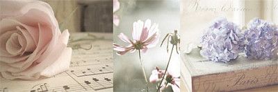 Декор Decor Romantique 04 25х75