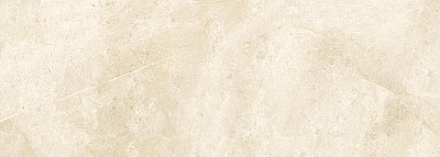 Керамическая плитка 98993 Grigio Imperiale Light (42.5x119.2)