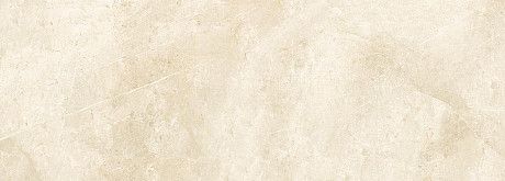 Керамическая плитка 98993 Grigio Imperiale Light (42.5x119.2)