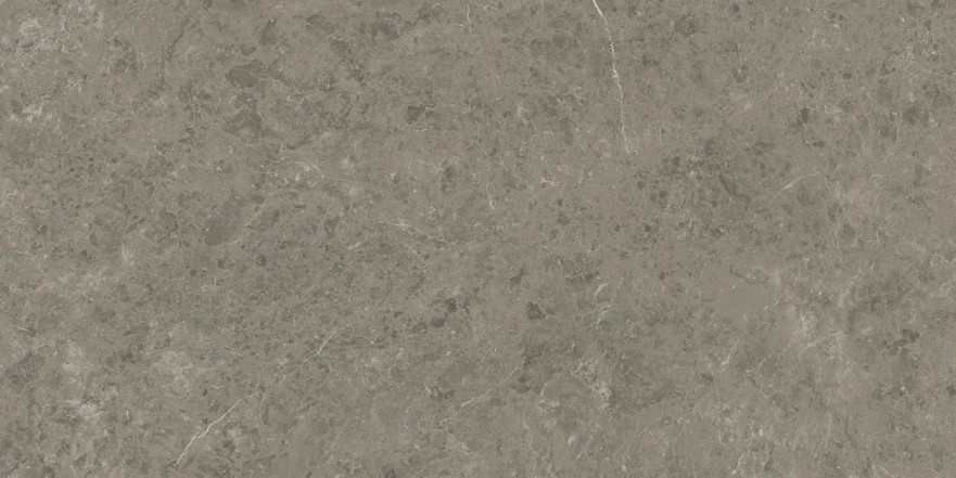 Керамогранит Marvel Meraviglia Grigio Elegante Lapp. AJIA (120x240) AJIA