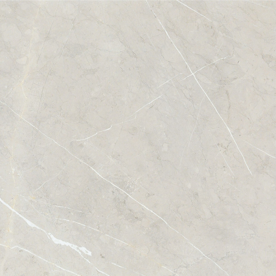 Керамогранит 2550 BB6NTT9101P (60x60) BB6NTT9101P